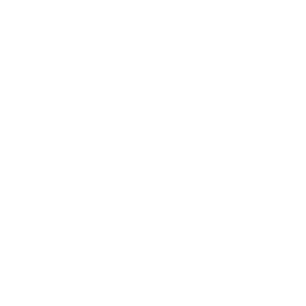 Bandera de inicio